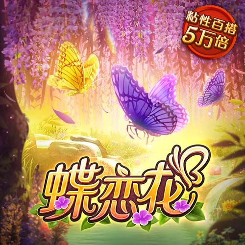 星空下载安装app客户端